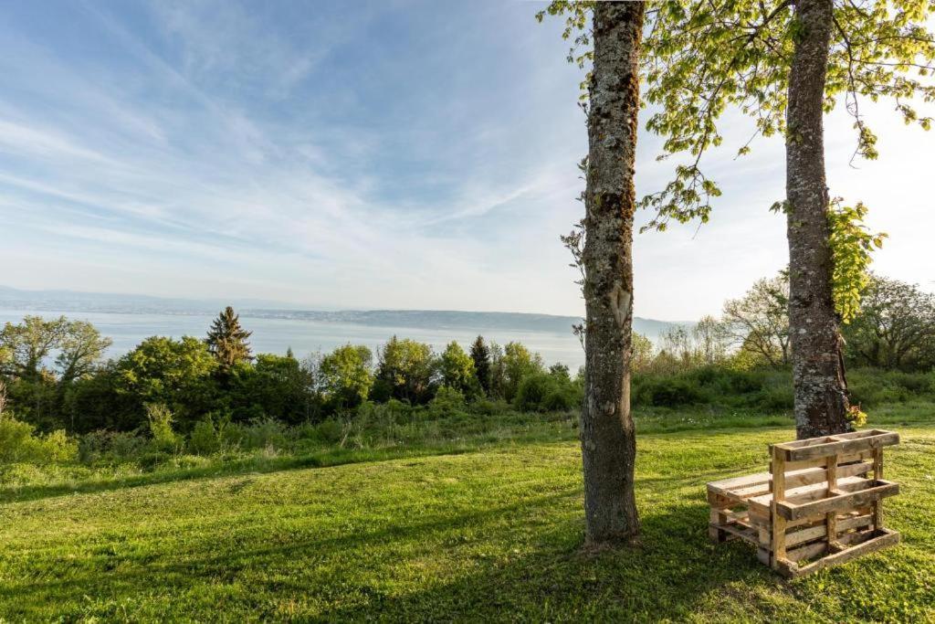 Le Garden - Ski - Vue Lac - Piscine - Parking - Evian - Thonon - Lugrin Εξωτερικό φωτογραφία